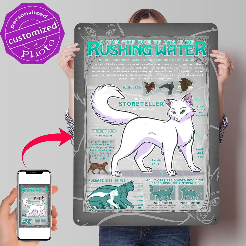 Guide to Rushing Water Cats Bl – Retro Gaming Guide Bewertung und Preis